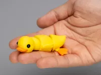 Multicolor Print Profile 0.20mm