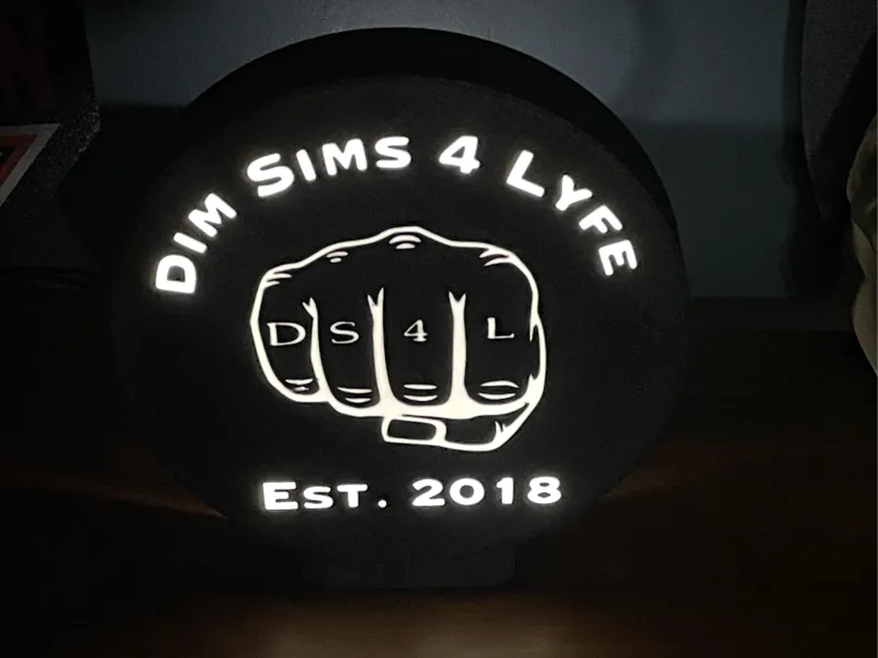 Dim Sims 4 Lyfe Light Box