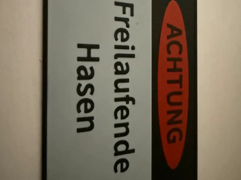 Freilaufende Hasen