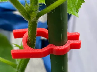 植物爬藤定位夹子