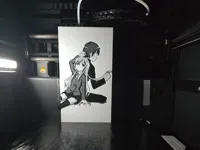 0.08mm layer, 2 walls, 100% infill