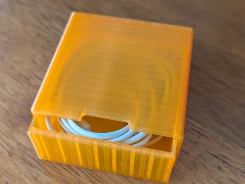 Earphone Case1