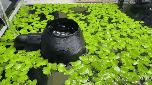https://makerworld.bblmw.com/makerworld/model/US6830e0c95e4aa4/design/2025-04-25_1ddccdb0be7fd8.gif