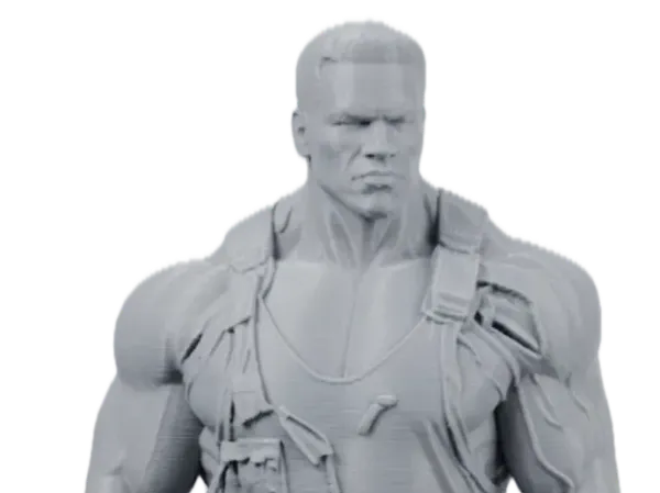 https://makerworld.bblmw.com/makerworld/model/US683124217add36/design/656d1f51e15a6a1c.png