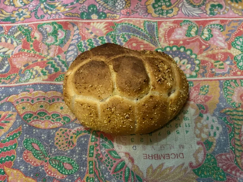 Turtle-shaped mold V2