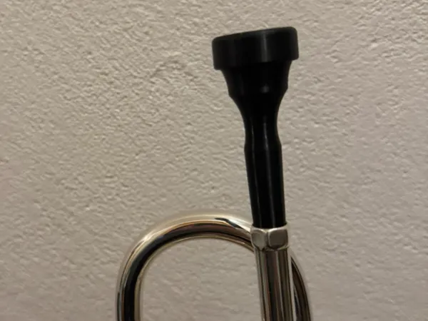 https://makerworld.bblmw.com/makerworld/model/US68377e17001329/design/2025-10-17_97b983c300df18.jpeg