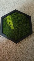 75% Scale for A1Mini
