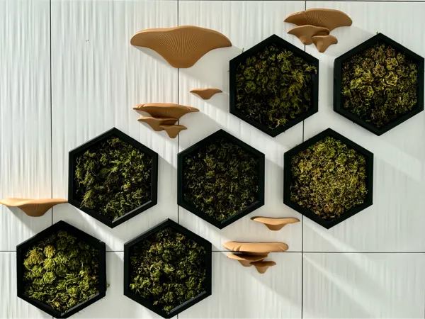 https://makerworld.bblmw.com/makerworld/model/US683801397dd367/design/2024-07-28_78bde0e1a28d.jpeg