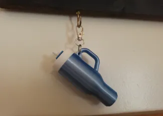 Tumbler inspired Chapley Keychain