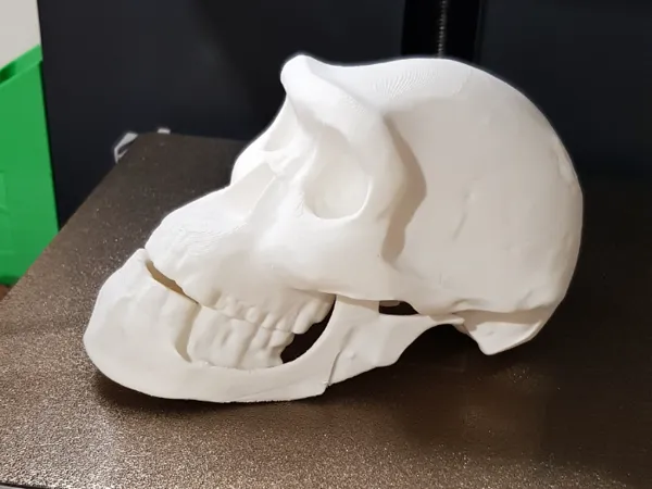 https://makerworld.bblmw.com/makerworld/model/US683d44275428bd/design/2025-08-30_ae1a5632ff528.jpg