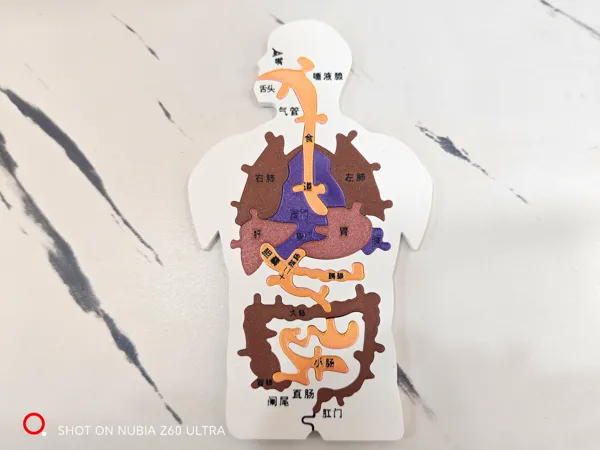 https://makerworld.bblmw.com/makerworld/model/US68443c313c4657/design/2025-06-13_13b5efeadeb028.jpg