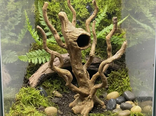 https://makerworld.bblmw.com/makerworld/model/US6848ac5c0eceda/design/2cb9557b28bf2271.jpg