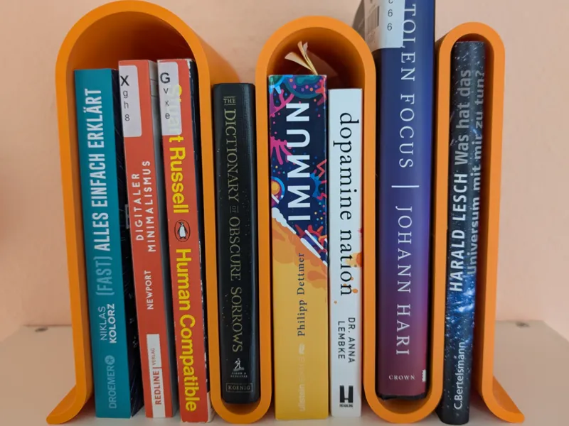 Meandering Bookshelf