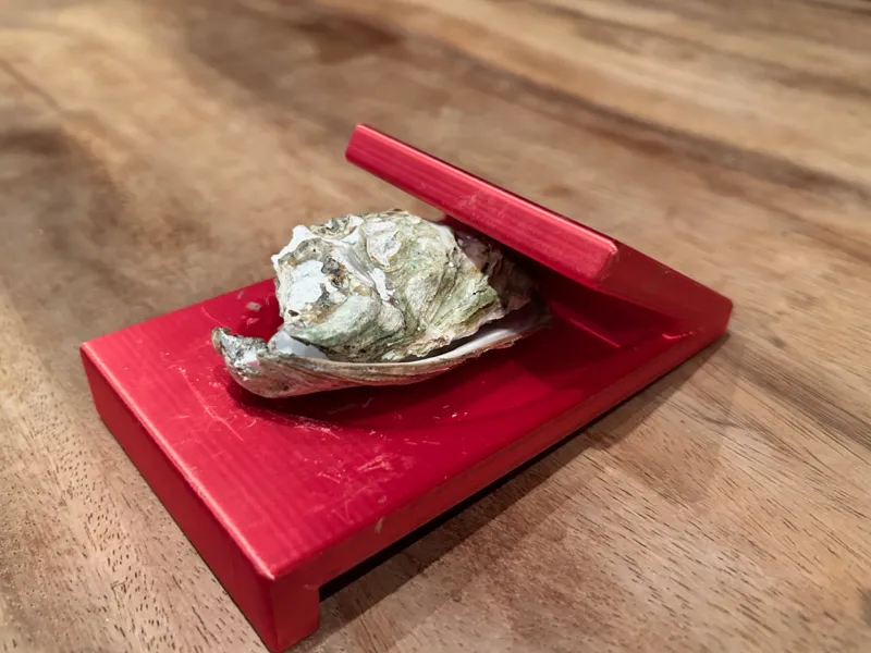 Safe Oyster Opener with Handguard-strong