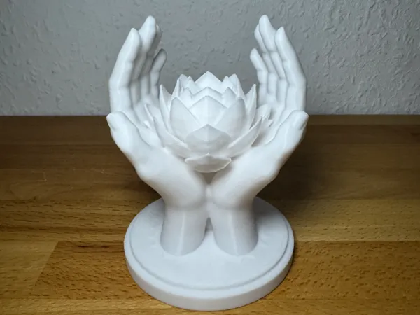 https://makerworld.bblmw.com/makerworld/model/US684e8578272e7/design/61928e23e4a1c225.jpeg