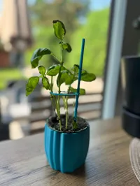Stick and holder