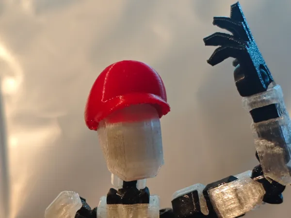 https://makerworld.bblmw.com/makerworld/model/US685bfd86521b60/design/2025-03-31_74d1c575008d5.jpg
