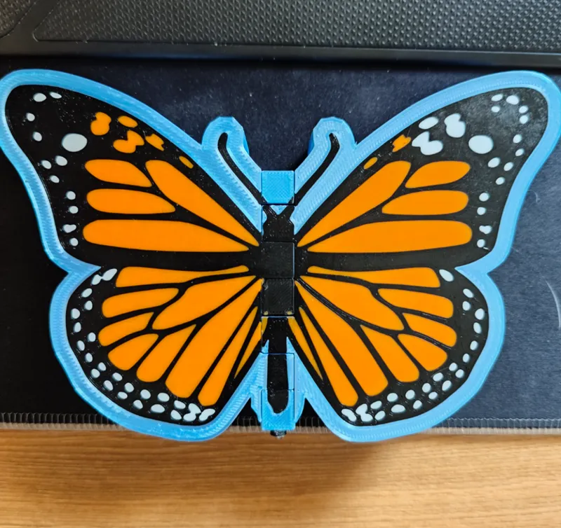 Butterfly storage box