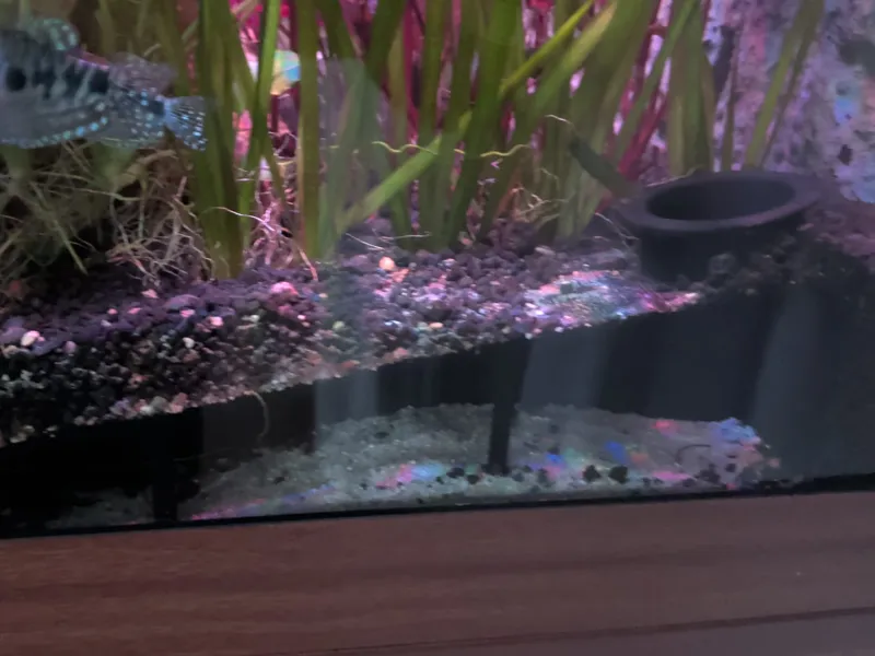 Schräger Fischtunnel