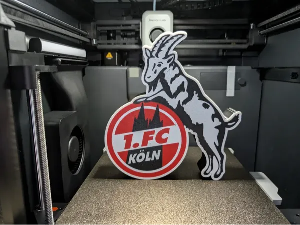 https://makerworld.bblmw.com/makerworld/model/US685f7c3955e7a1/design/2024-11-15_42c25a3e3cc56.webp