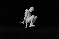 慕蝶
