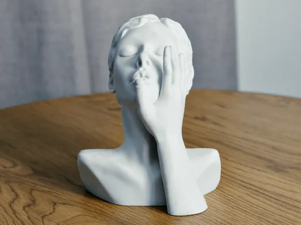 https://makerworld.bblmw.com/makerworld/model/US6868741b43a54f/design/2025-01-14_376990c90cdc7.png