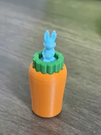 Bunny