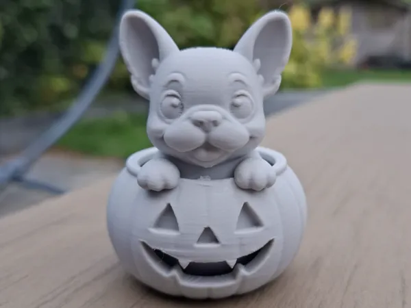 https://makerworld.bblmw.com/makerworld/model/US687316bad6884c/design/2025-10-09_8eef9befdd38e.jpg