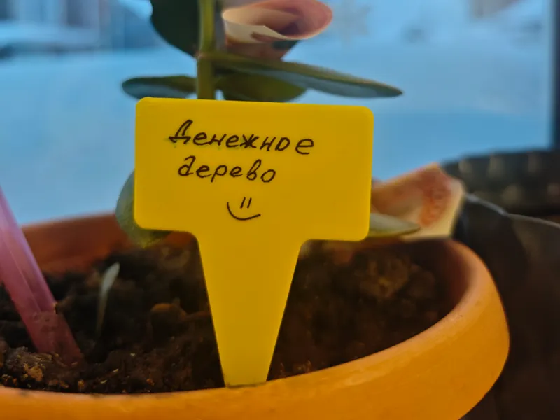 seedling sign