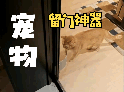 宠物留门神器