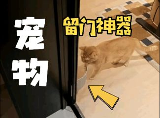 宠物留门神器