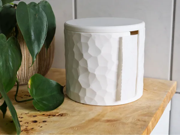 https://makerworld.bblmw.com/makerworld/model/US687f0838c14649/design/7ee3bf57701bc371.jpg