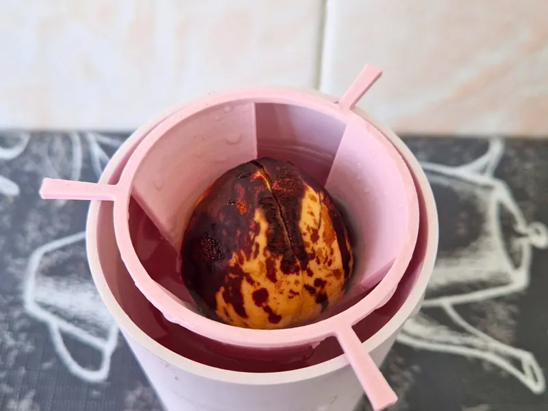 Avocado Seed Germinator
