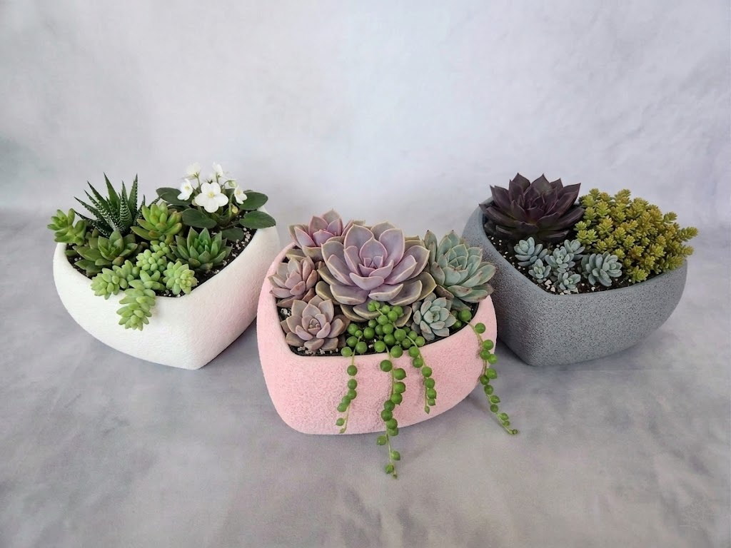 Flower pot - heart