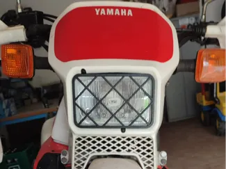 Lamp guard Yamaha XT600 2KF/NF