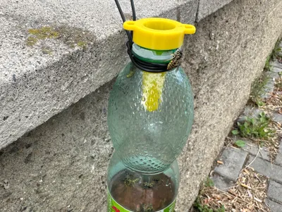 Wasp Trap Bottle Adapter