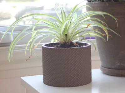 Diamond Planter