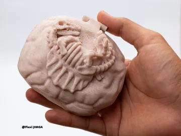 Caja o estuche: Skeletal Dinosaur Case – Spinosaurus Version — vista de referencia 5