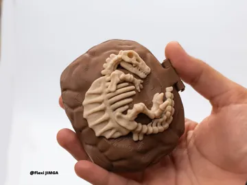 Caja o estuche: Skeletal Dinosaur Case – Spinosaurus Version — vista de referencia 4