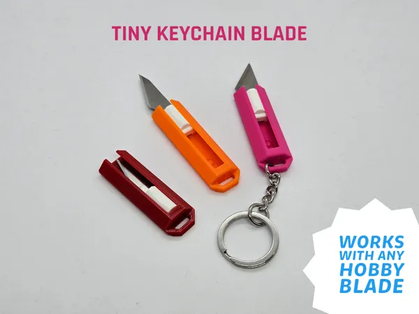 https://makerworld.bblmw.com/makerworld/model/US688d8afe979100/design/2025-08-24_696cf9d618cba.jpg