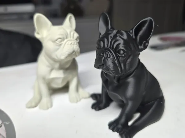 https://makerworld.bblmw.com/makerworld/model/US688e9e5624d9c9/design/76312bdfe59212e4.jpeg