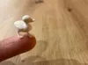 0.2mm nozzle, 0.2mm layer, 2 walls, 20% infill