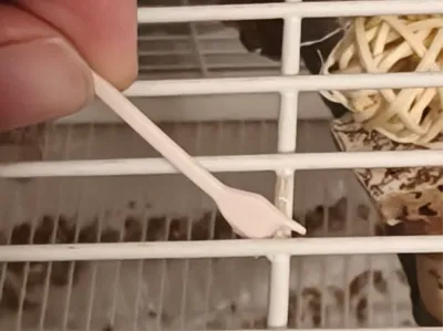 Disposable bird cage cleaning fork/bird cage cleaning stick/wire cage cleaning fork/bird cage poop scooping stick