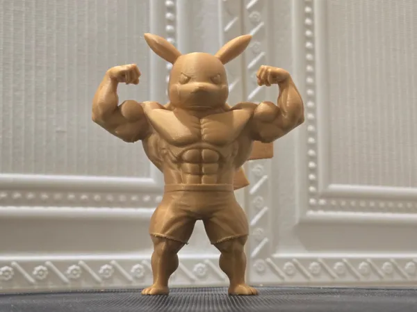 https://makerworld.bblmw.com/makerworld/model/US689b8446b2e0e1/design/45ecb634350444d5.jpeg