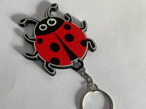 https://makerworld.bblmw.com/makerworld/model/US689c67ce5c5187/design/2026-01-07_0b4bfd1d651a78.jpg