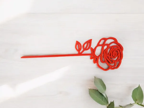 https://makerworld.bblmw.com/makerworld/model/US689cfb3b803d54/design/2025-01-02_908fe298df178.png