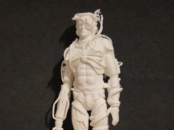 https://makerworld.bblmw.com/makerworld/model/US68a13ff450d182/design/2025-04-03_64ae8413e0dae.jpg