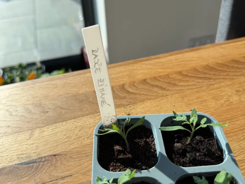 Flower lable