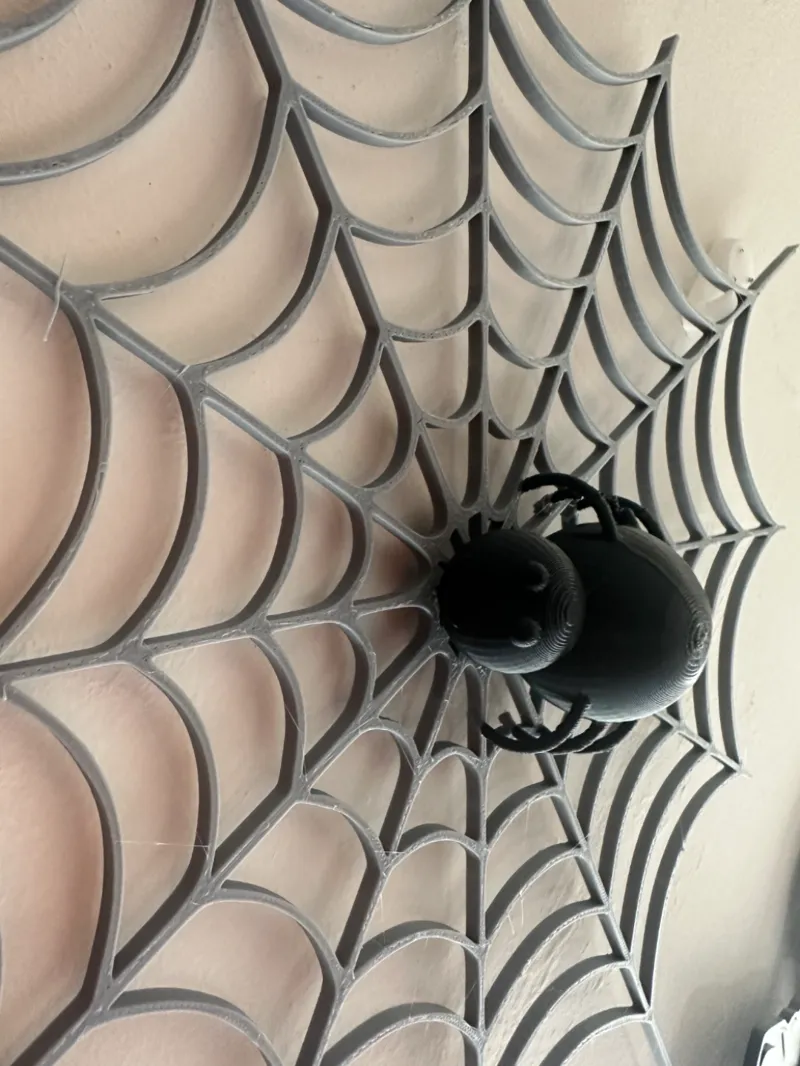 spider 