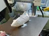 0.2mm nozzle, 0.08mm layer height, 4 walls, 5% infill